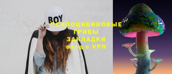 соль ск Балабаново
