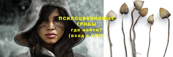тгк Баксан