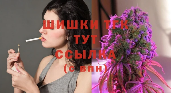 тгк Баксан